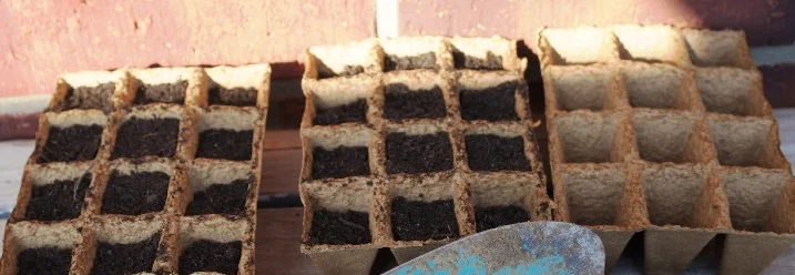 Aussaatschalen mit Erde und Schaufel